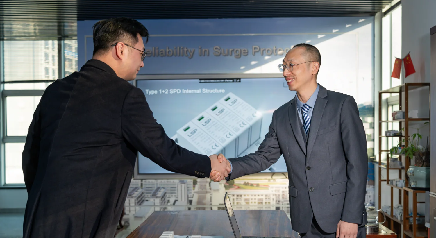 Surge protective device SPD manufacturer Customer meeting